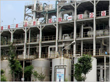 德藍(lán)工廠
